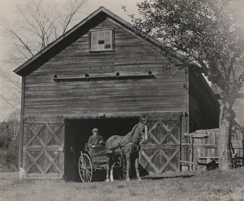Horse and Carriage by Alfred Stieglitz, photograph, 1922