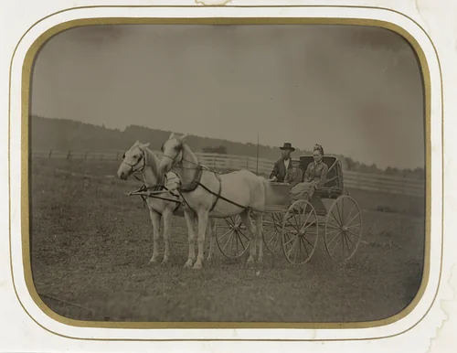 Untitled by Unidentified Photographer, photograph, 1880