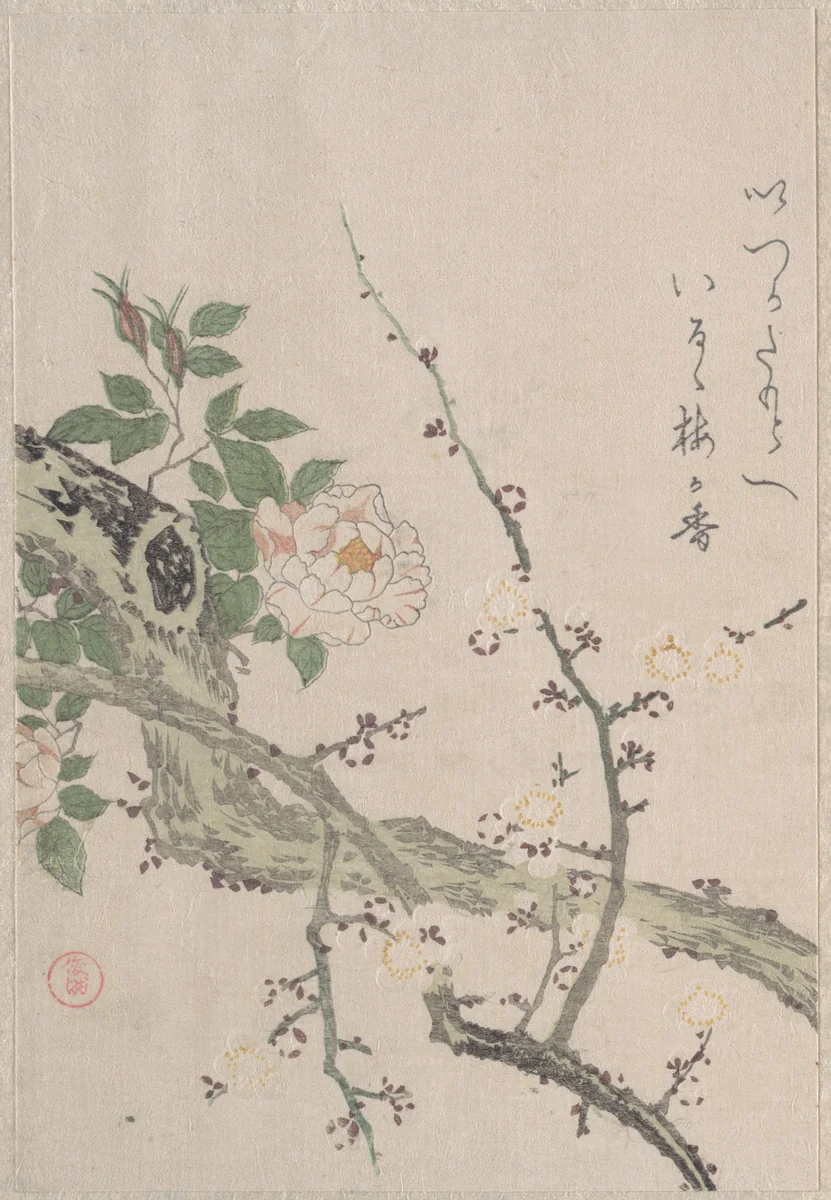 Roses and Plum Blossoms by Kubo Shunman (窪俊満), print, 1800-1899