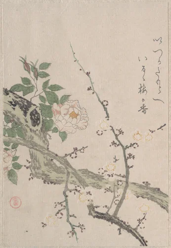Roses and Plum Blossoms by Kubo Shunman (窪俊満), print, 1800-1899