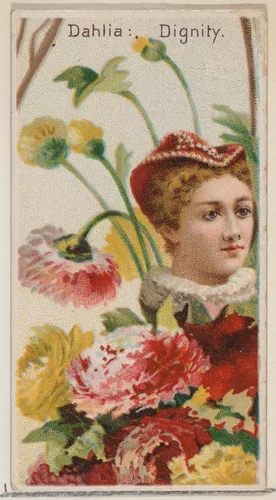 Dahlia: Dignity, from the series Floral Beauties and Language of Flowers (N75) for Duke brand cigarettes by American Tobacco Company, print, 1892