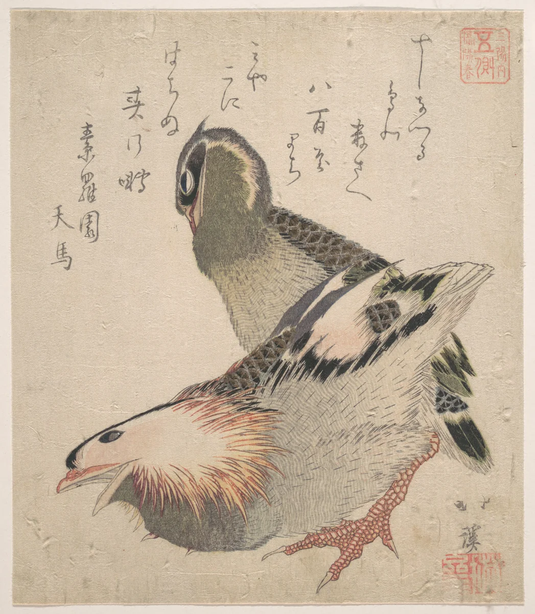 Two Birds by Totoya Hokkei (魚屋北渓), print, 1780-1850