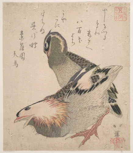 Two Birds by Totoya Hokkei (魚屋北渓), print, 1780-1850