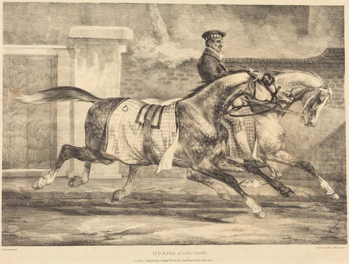 Horses Exercising by Théodore Gericault, print, 1821