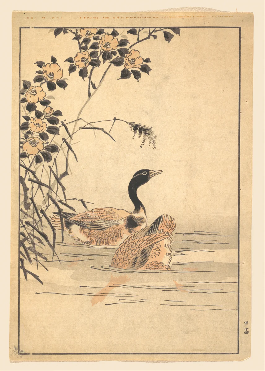 A Pair of Geese with Camellias by Unidentified Artist, print, 1857