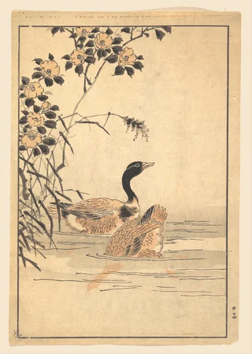 A Pair of Geese with Camellias by Unidentified Artist, print, 1857
