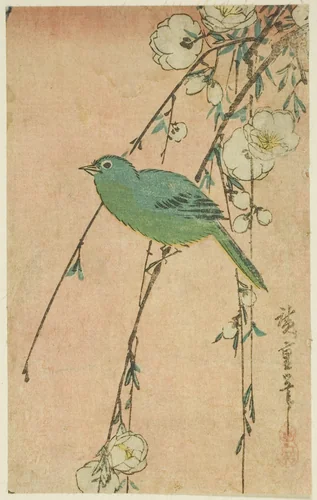 Japanese white-eye and weeping cherry by Utagawa Hiroshige (歌川広重), print, 1830-1839