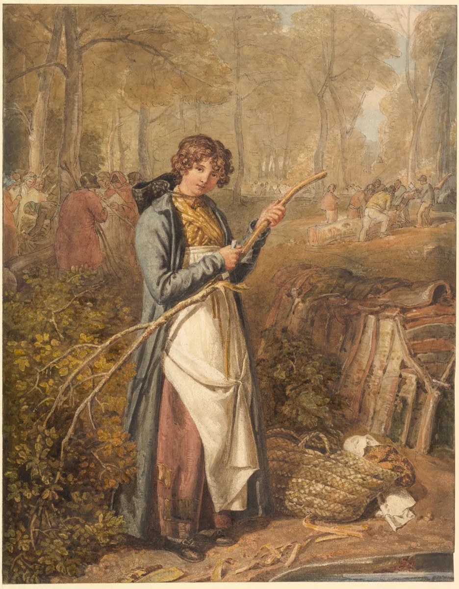 Barking Timber in Wychwood Forest, Oxfordshire by Joshua Cristall, drawing, 1818