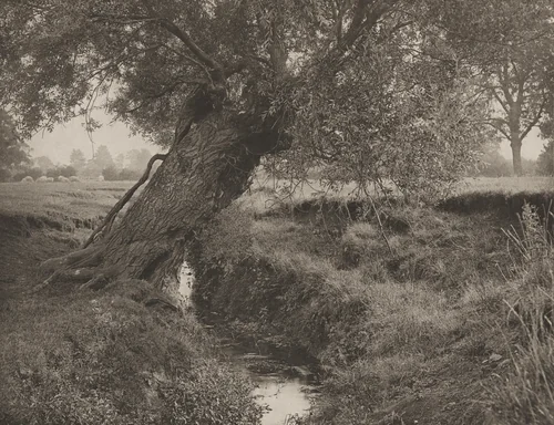 A Willow Grows Aslant The Brook by James Leon Williams, photograph, 1894