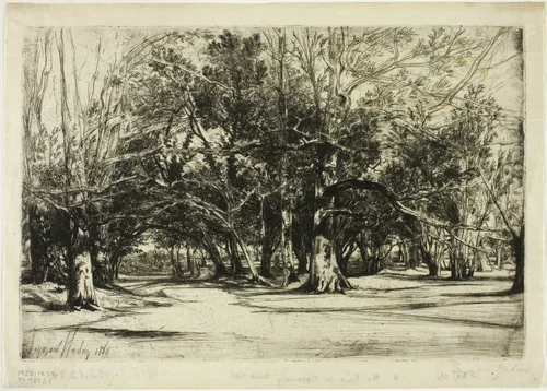 A By-Road in Tipperary by Francis Seymour-Haden, print, 1860