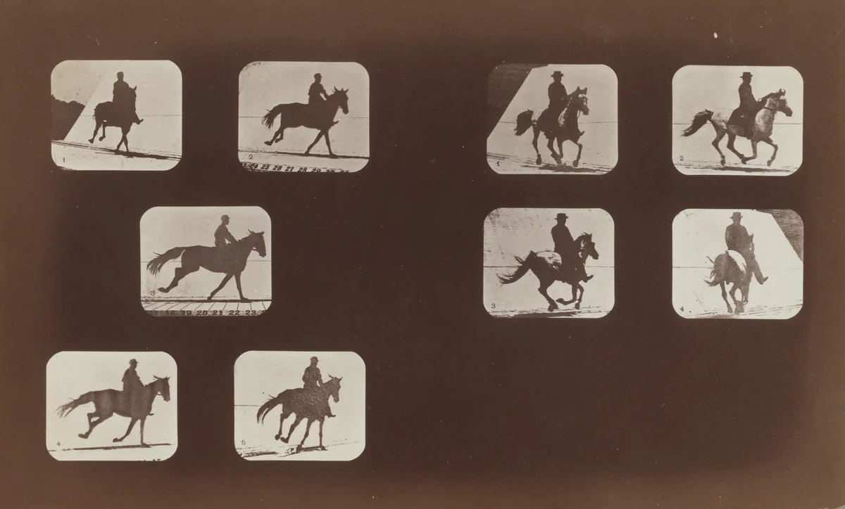 Studies of Foreshortenings, Horses: Running by Eadweard Muybridge, photograph, 1878