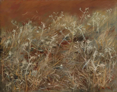 Thistles by John Singer Sargent, painting, 1883-1889
