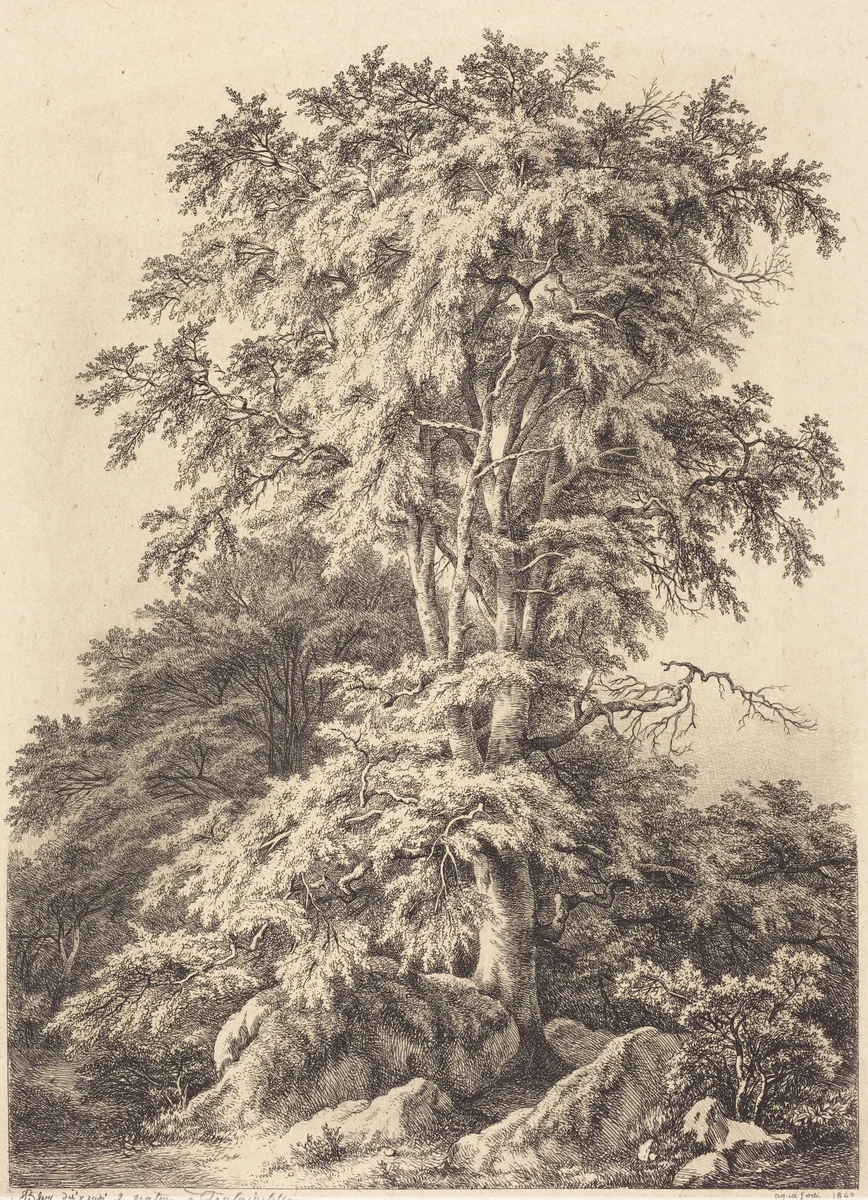 Beech Grove by Eugène Bléry, portfolio, 1840