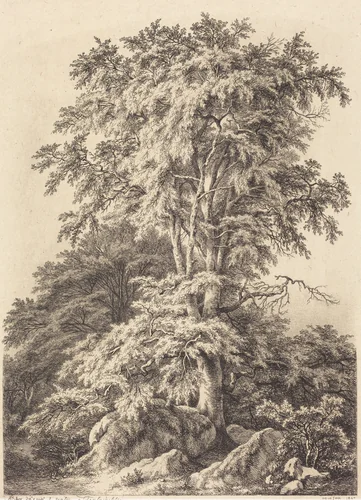 Beech Grove by Eugène Bléry, portfolio, 1840