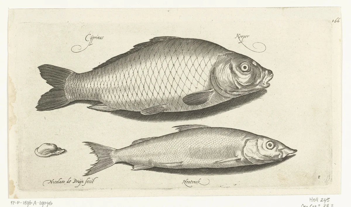 Karper en houting by Unknown, print, 1581-1656