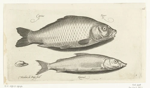 Karper en houting by Unknown, print, 1581-1656