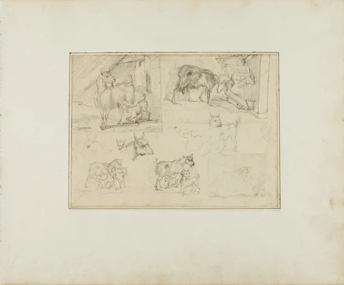 Sketches of Goats by Jean Louis André Théodore Géricault, drawing, 1813-1814