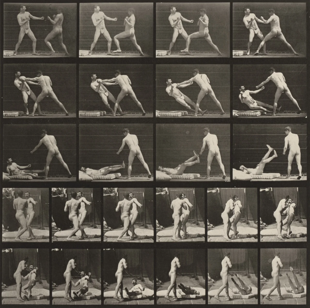 Plate Number 333. Boxing, one man knocking the other one down by Eadweard Muybridge, photograph, 1887