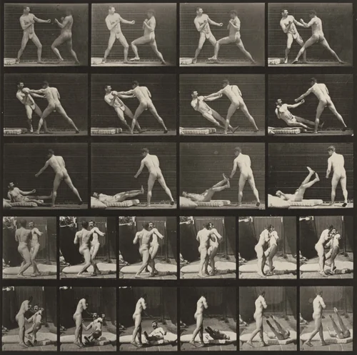 Plate Number 333. Boxing, one man knocking the other one down by Eadweard Muybridge, photograph, 1887