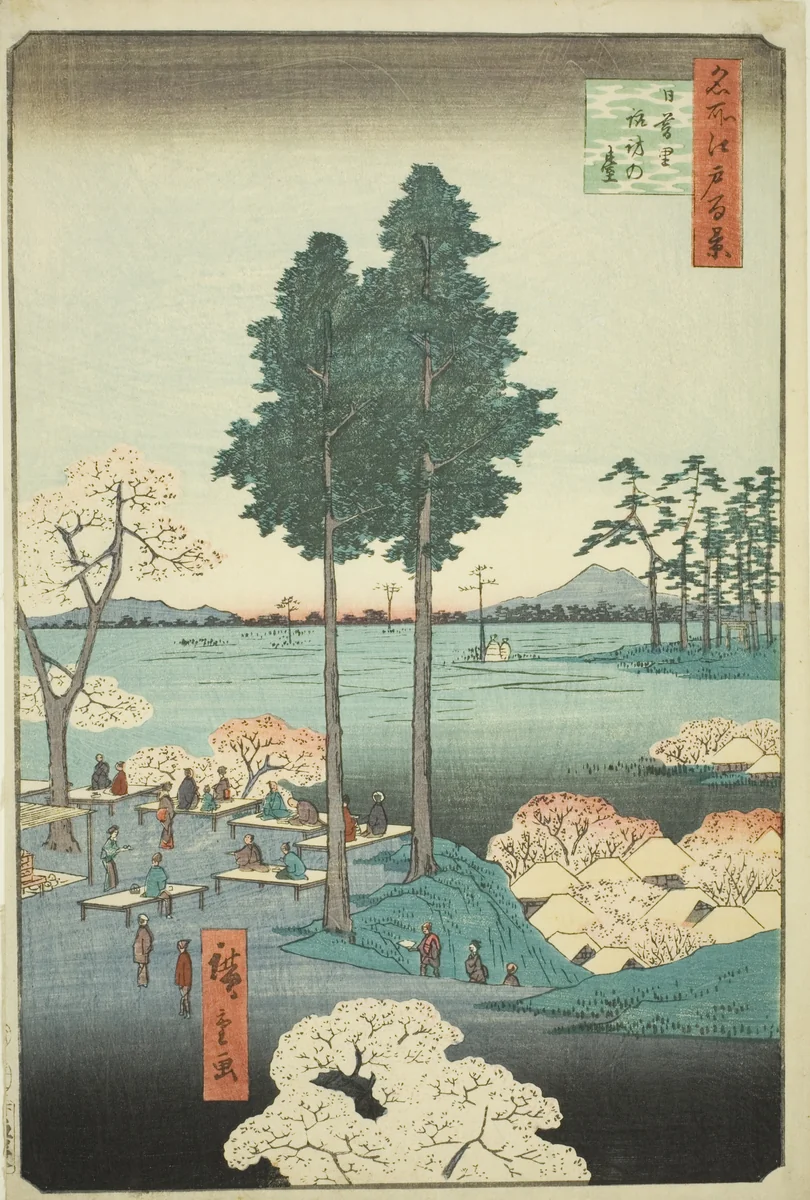 Suwa Bluff at Nippori (Nippori Suwanodai), from the series "One Hundred Famous Views of Edo (Meisho Edo hyakkei)" by Utagawa Hiroshige (歌川広重), print, 1856