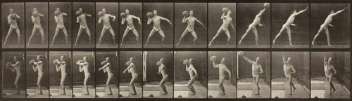 Animal Locomotion, Plate 319 by Eadweard Muybridge, photograph, 1887