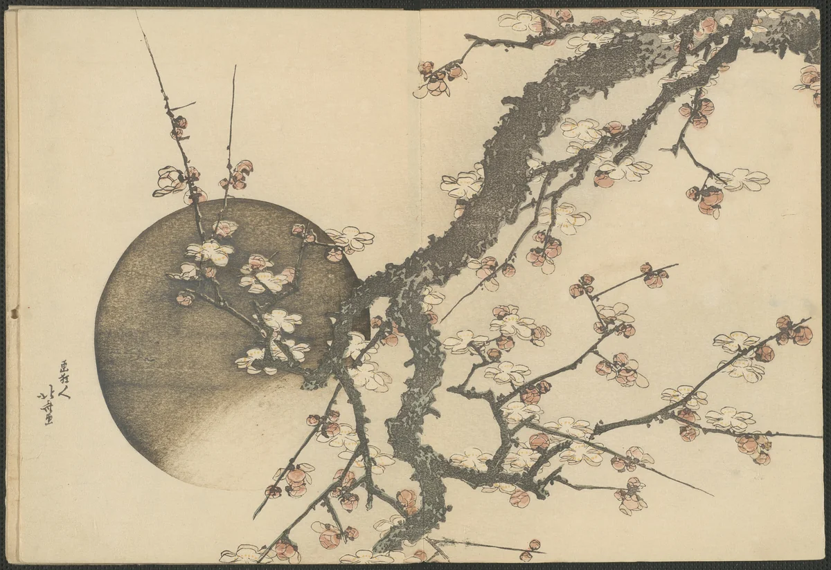 Plum Blossom and the Moon from the Book Mount Fuji in Spring (Haru no Fuji) by Katsushika Hokusai (葛飾 北斎), book, 1798-1808
