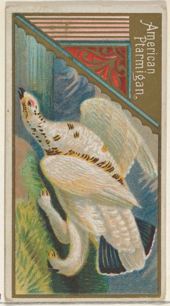 American Ptarmigan, from the Game Birds series (N13) for Allen & Ginter Cigarettes Brands by Allen & Ginter, print, 1889