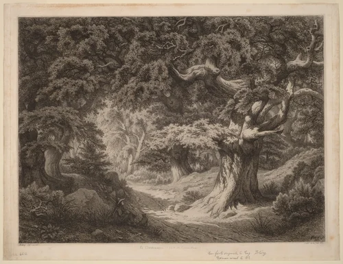 Le Charlemagne (forêt de fontainebleau) by Eugène Bléry, print, 1861