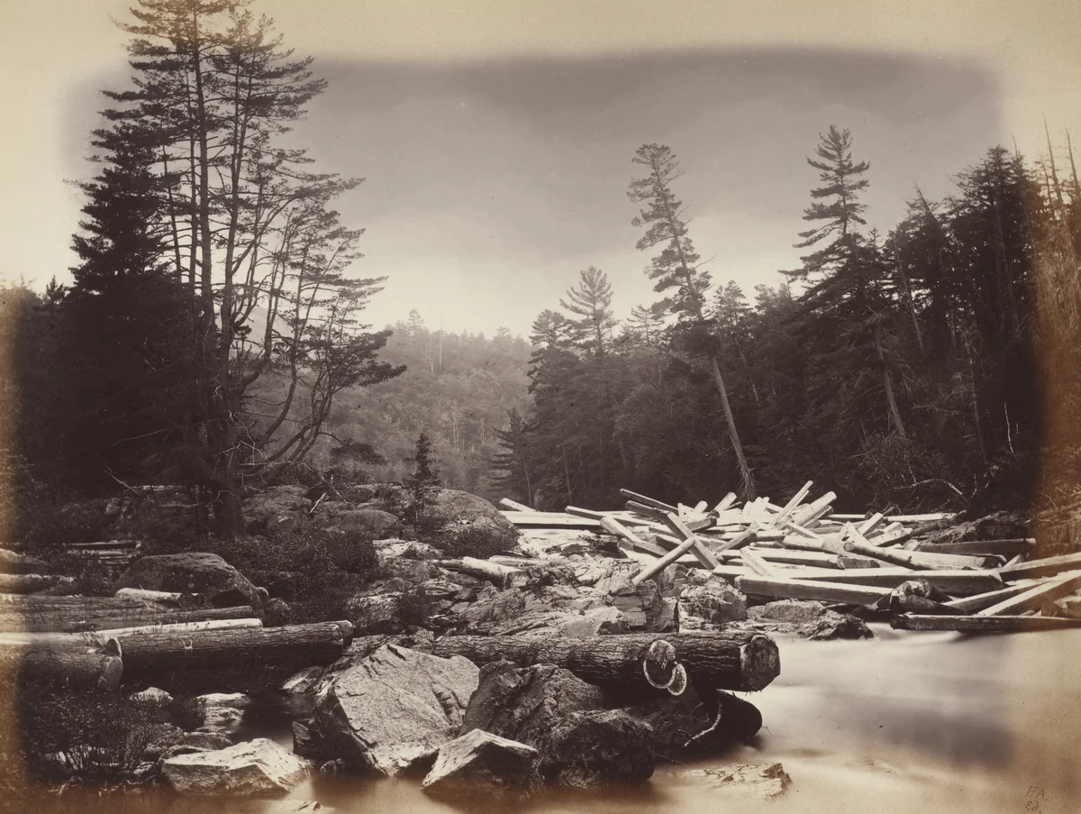 Timber 'Jam' Rouge River by Alexander Henderson, photograph, 1865
