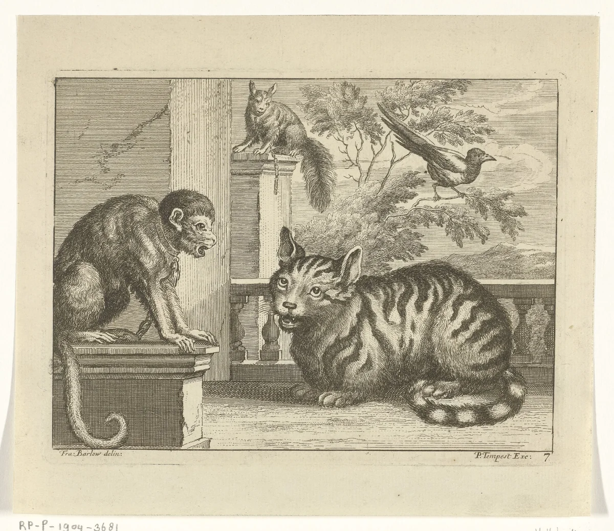 Aap, kat, eekhoorn en ekster by Jan Griffier, print, 1680-1694