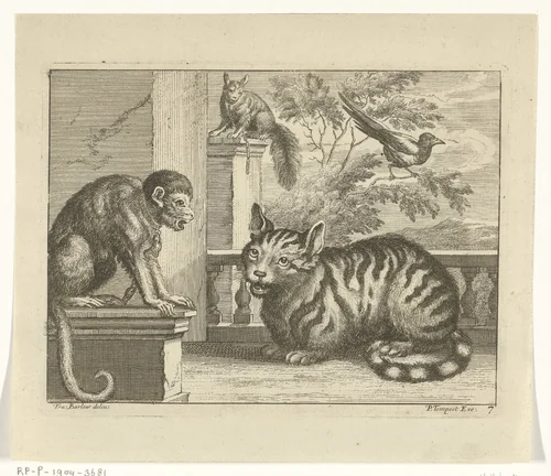 Aap, kat, eekhoorn en ekster by Jan Griffier, print, 1680-1694