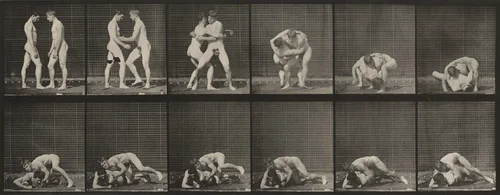 Plate Number 345. Wrestling, lock by Eadweard Muybridge, photograph, 1887