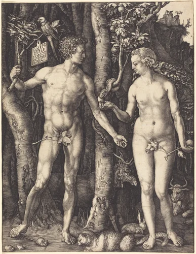 Adam and Eve by Albrecht Dürer, print, 1504