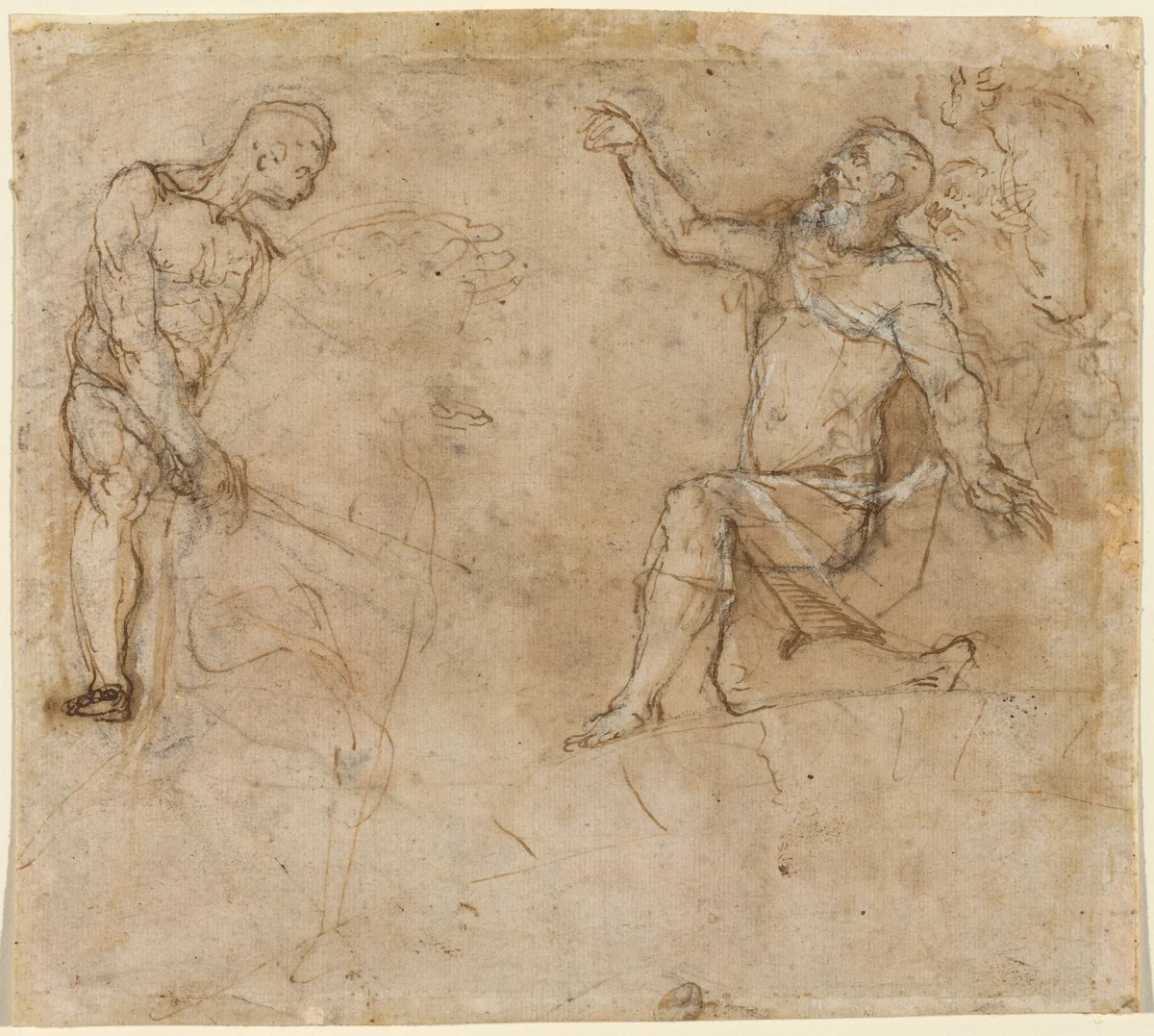 Figure Studies by Federico Barocci, drawing, 1535-1612