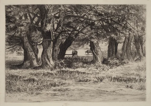 A Group of Willows by Eleazer Hutchinson Miller, print, 1883