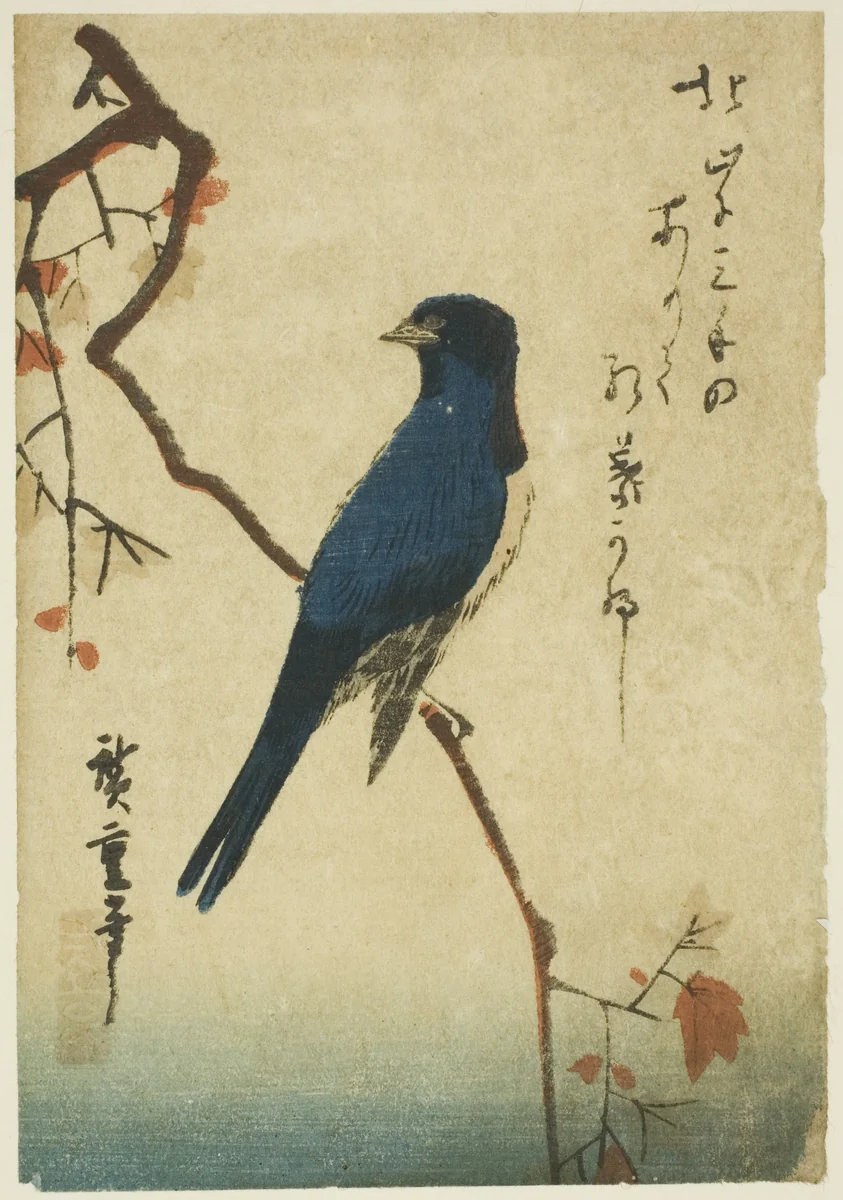 Blue bird on maple branch by Utagawa Hiroshige (歌川広重), print
