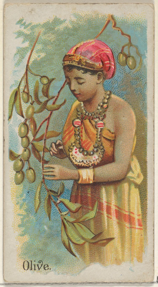 Olive, from the Fruits series (N12) for Allen & Ginter Cigarettes Brands by Allen & Ginter, print, 1891