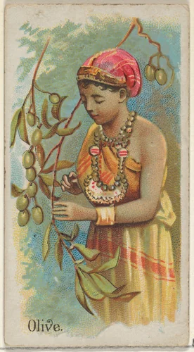 Olive, from the Fruits series (N12) for Allen & Ginter Cigarettes Brands by Allen & Ginter, print, 1891