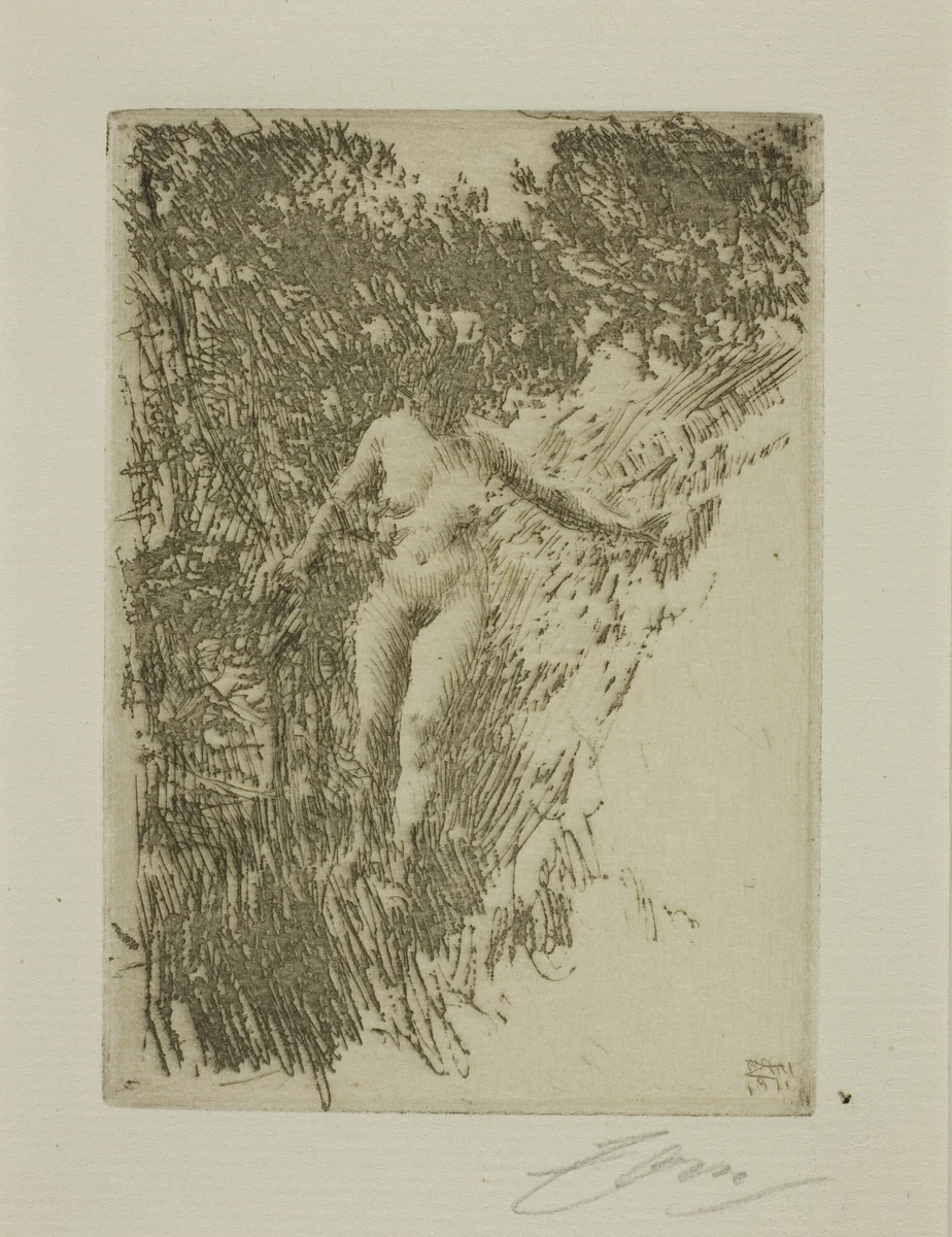 Brushwood by Anders Zorn, print, 1911