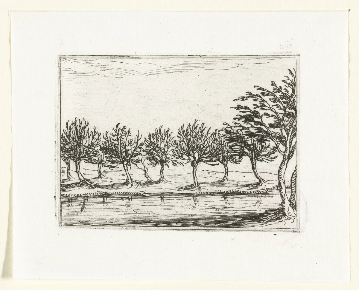 Wilgen langs een oever by Jacques Callot, print, 1621-1635