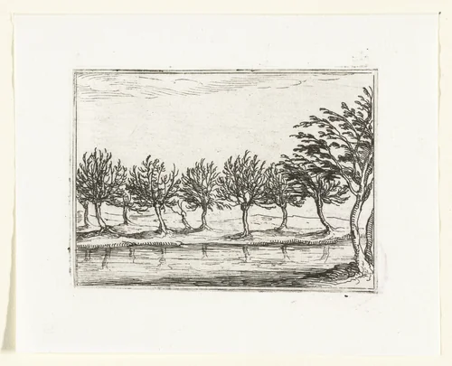 Wilgen langs een oever by Jacques Callot, print, 1621-1635
