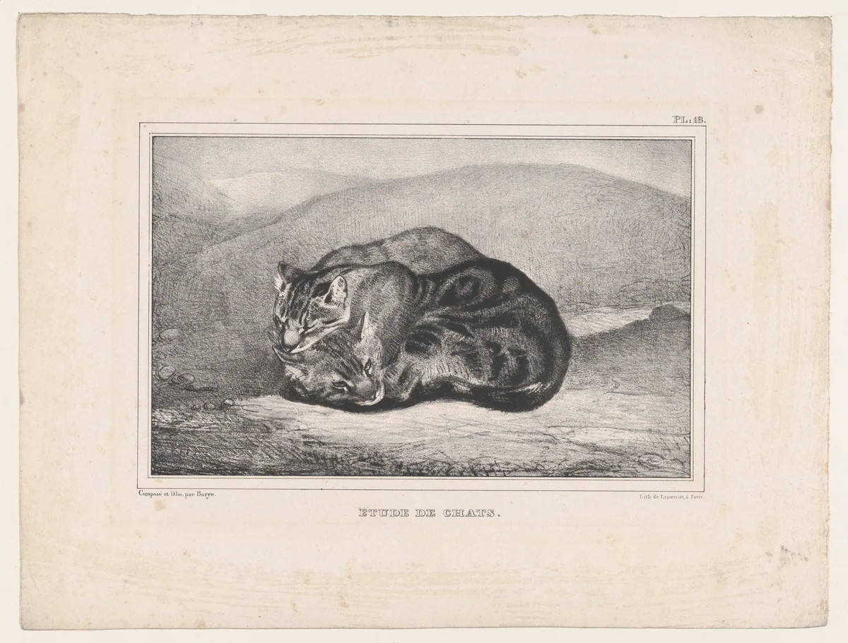 Study of Cats by Antoine-Louis Barye, print, 1836