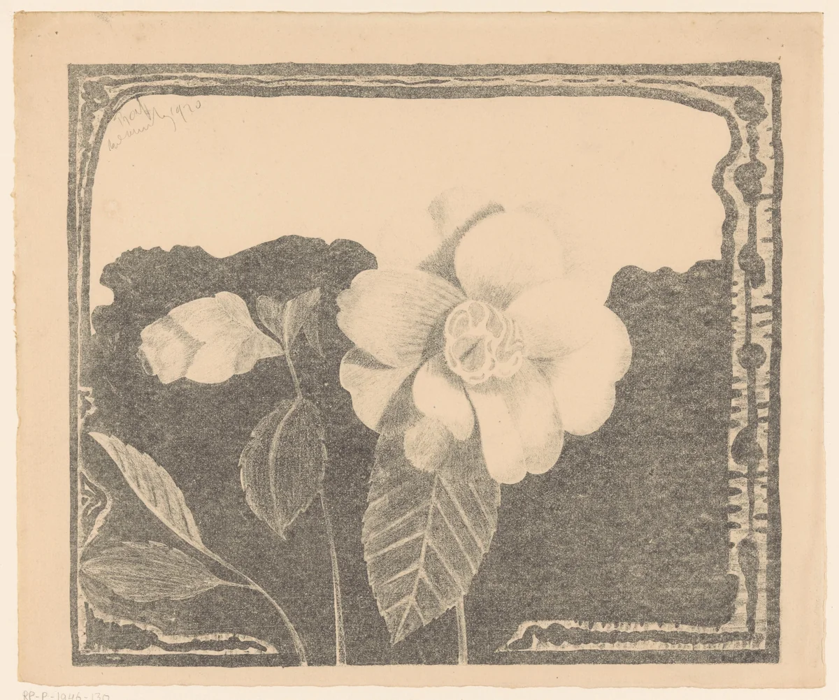 Camelia, links een bloem in knop by Samuel Jessurun de Mesquita, print, 1920