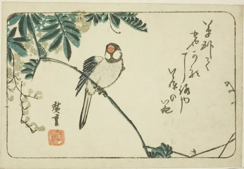 Sparrow and wisteria by Utagawa Hiroshige (歌川広重), print