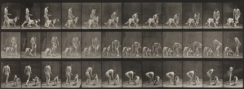 Plate Number 449. Feeding a dog by Eadweard Muybridge, photograph, 1887