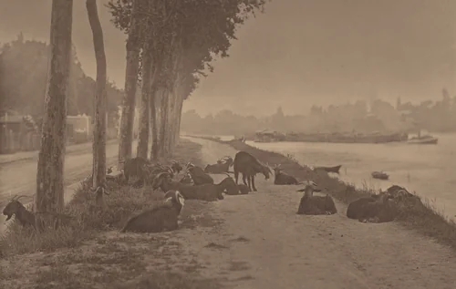 A Decorative Panel by Alfred Stieglitz, photograph, 1894