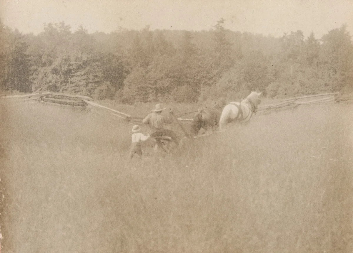 Father and Son Furrowing by John G. Bullock, photograph, 1900