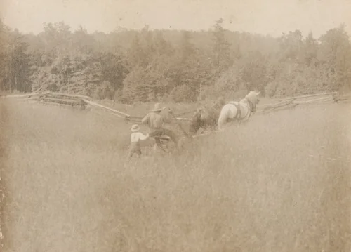 Father and Son Furrowing by John G. Bullock, photograph, 1900