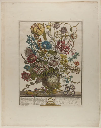 March, from Twelve Months of Flowers by Henry Fletcher
Peter Casteels III, print, 1730-1750
