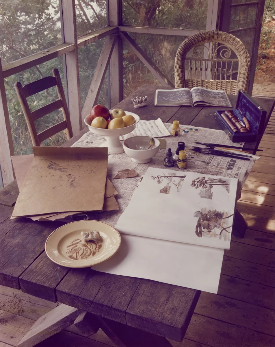 The Table, Wellfleet, Massachusetts by Joel Meyerowitz, photograph, 1981